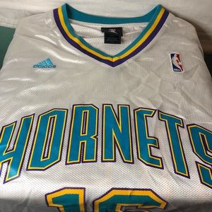 Hornets basketball jersey